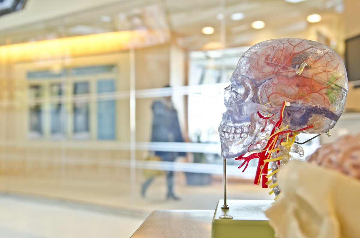 Neurology